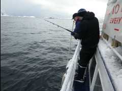 Cod Fishing21